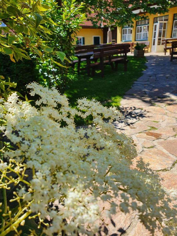 Hotel Landhof Steinbaeck Sankt Stefan ob Stainz Esterno foto