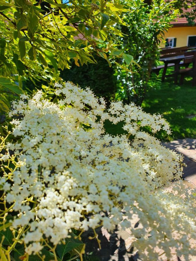 Hotel Landhof Steinbaeck Sankt Stefan ob Stainz Esterno foto