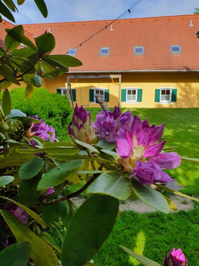 Hotel Landhof Steinbaeck Sankt Stefan ob Stainz Esterno foto